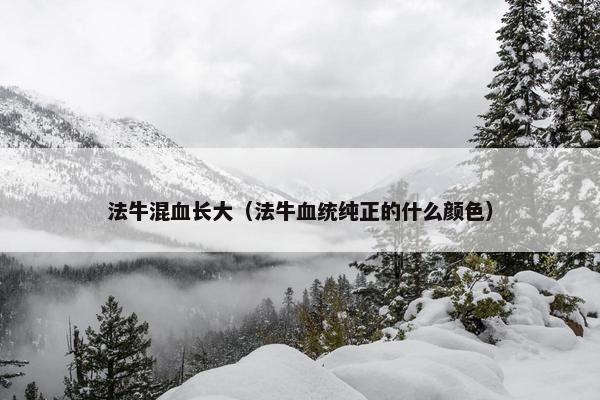 法牛混血长大（法牛血统纯正的什么颜色）