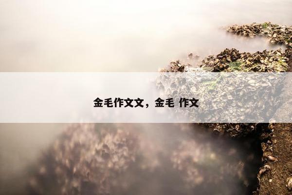 金毛作文文，金毛 作文