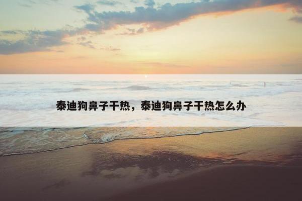 泰迪狗鼻子干热，泰迪狗鼻子干热怎么办