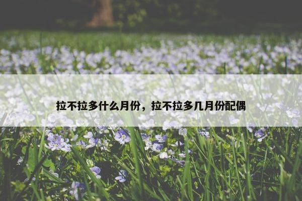 拉不拉多什么月份，拉不拉多几月份配偶