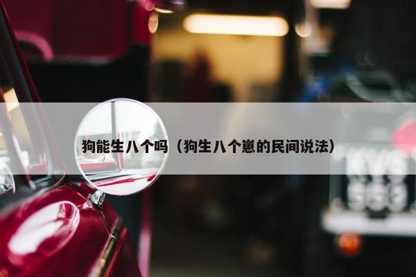 狗能生八个吗（狗生八个崽的民间说法）