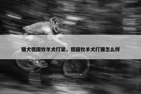 猎犬德国牧羊犬打架，德国牧羊犬打猎怎么样