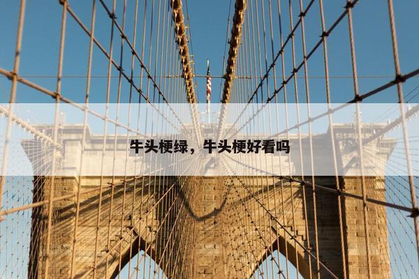 牛头梗绿，牛头梗好看吗