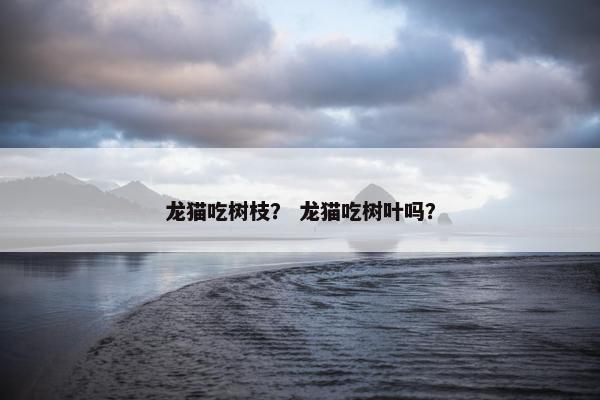 龙猫吃树枝？ 龙猫吃树叶吗？