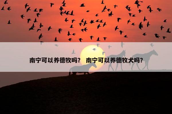 南宁可以养德牧吗？ 南宁可以养德牧犬吗？