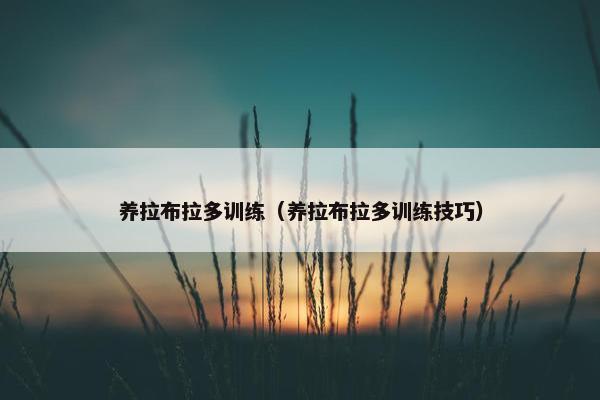 养拉布拉多训练（养拉布拉多训练技巧）