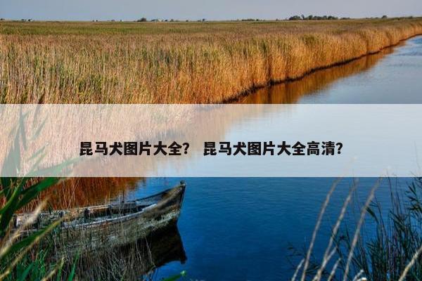 昆马犬图片大全？ 昆马犬图片大全高清？