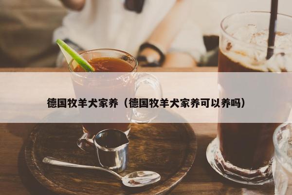 德国牧羊犬家养（德国牧羊犬家养可以养吗）