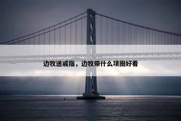 边牧送戒指，边牧带什么项圈好看