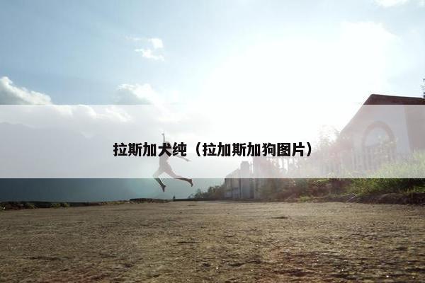 拉斯加犬纯（拉加斯加狗图片）
