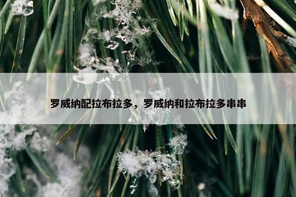 罗威纳配拉布拉多，罗威纳和拉布拉多串串