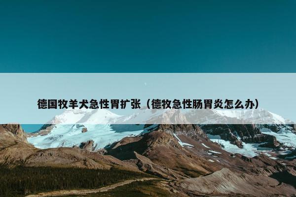 德国牧羊犬急性胃扩张（德牧急性肠胃炎怎么办）