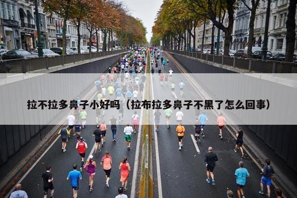 拉不拉多鼻子小好吗（拉布拉多鼻子不黑了怎么回事）