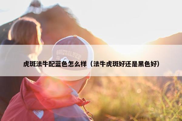 虎斑法牛配蓝色怎么样（法牛虎斑好还是黑色好）