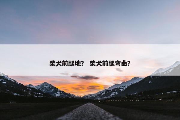 柴犬前腿地？ 柴犬前腿弯曲？