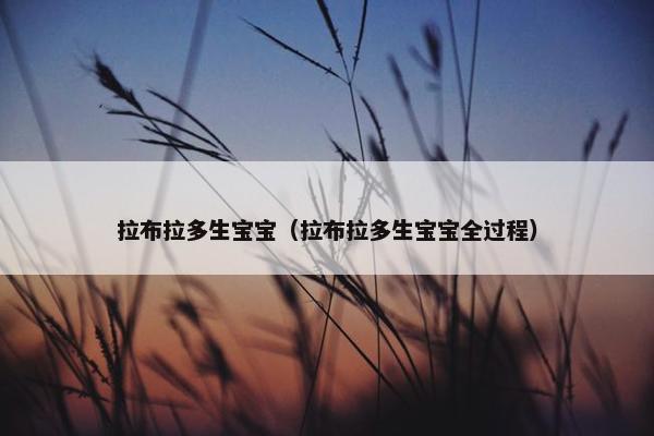 拉布拉多生宝宝（拉布拉多生宝宝全过程）