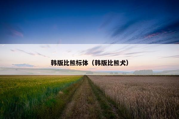 韩版比熊标体（韩版比熊犬）