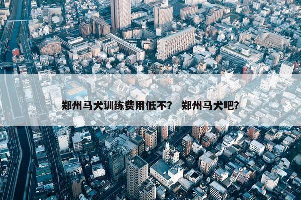 郑州马犬训练费用低不？ 郑州马犬吧？