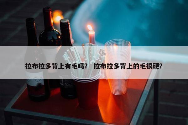 拉布拉多背上有毛吗？ 拉布拉多背上的毛很硬？