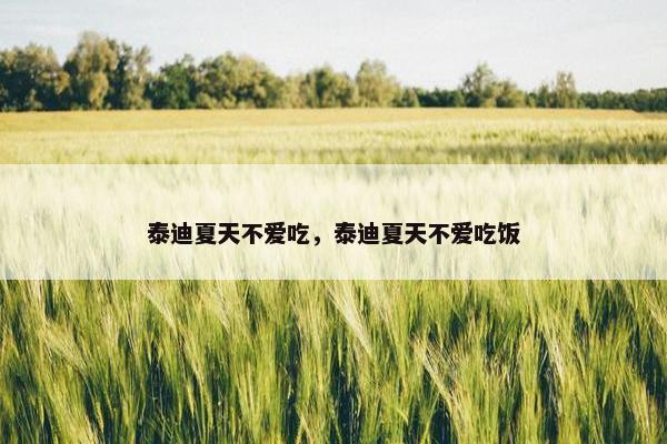 泰迪夏天不爱吃，泰迪夏天不爱吃饭