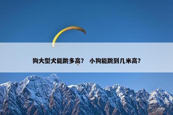 狗大型犬能跳多高？ 小狗能跳到几米高？