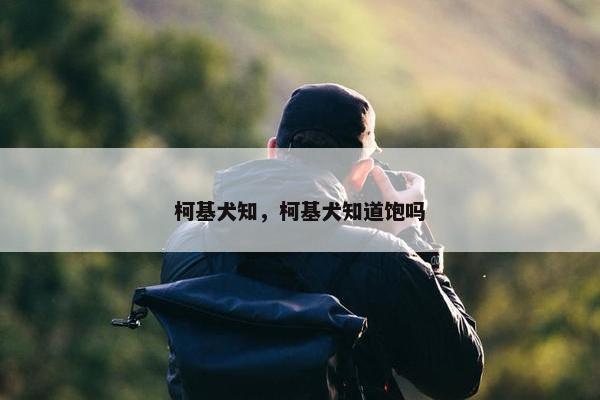 柯基犬知，柯基犬知道饱吗
