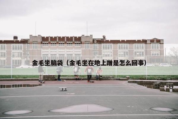 金毛坐脑袋（金毛坐在地上蹭是怎么回事）