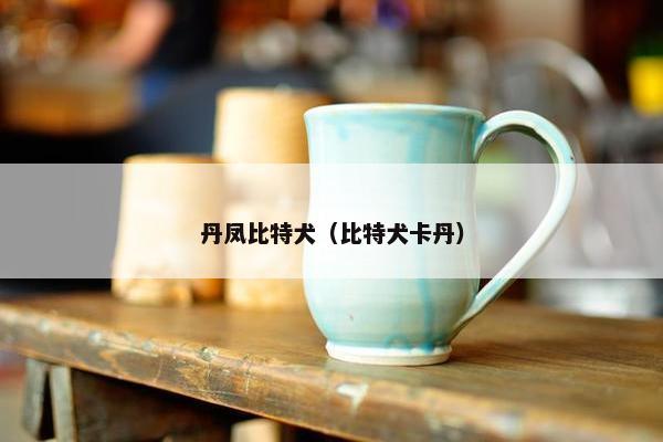 丹凤比特犬（比特犬卡丹）