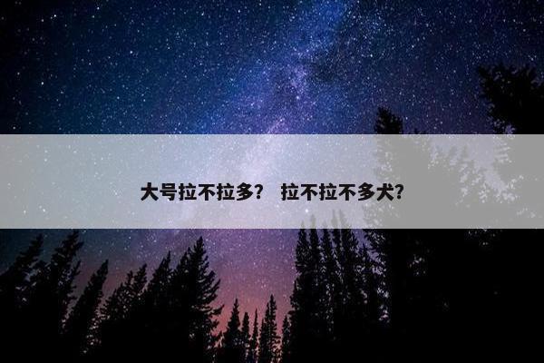 大号拉不拉多？ 拉不拉不多犬？