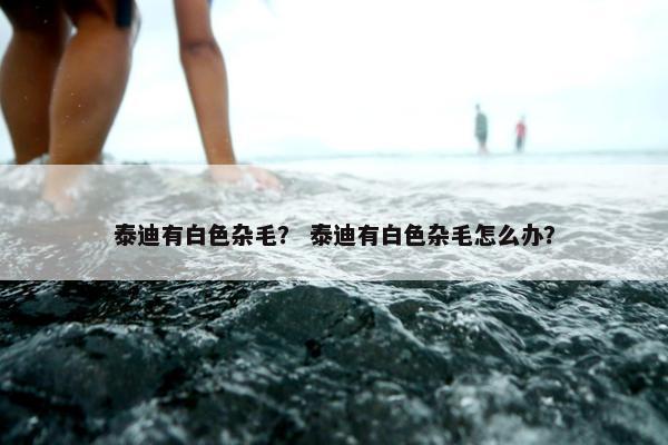 泰迪有白色杂毛？ 泰迪有白色杂毛怎么办？