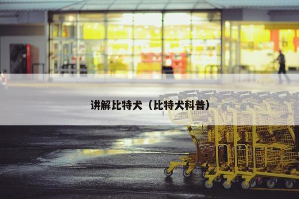 讲解比特犬（比特犬科普）