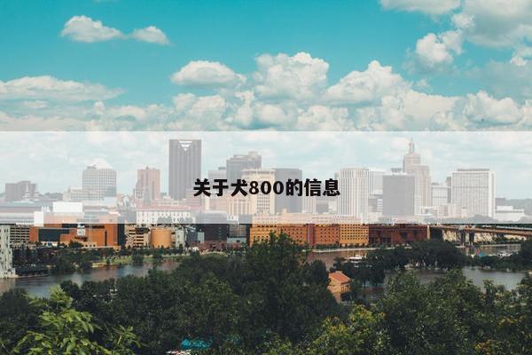 关于犬800的信息