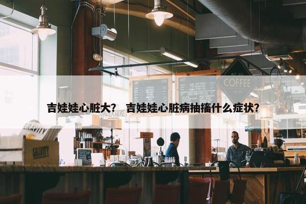 吉娃娃心脏大？ 吉娃娃心脏病抽搐什么症状？