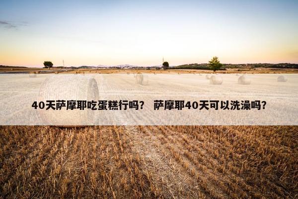 40天萨摩耶吃蛋糕行吗？ 萨摩耶40天可以洗澡吗？