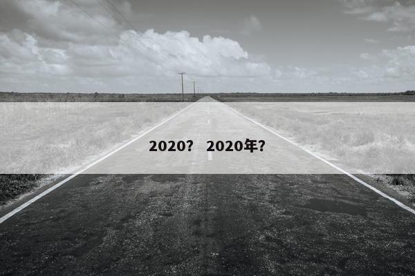 2020？ 2020年？