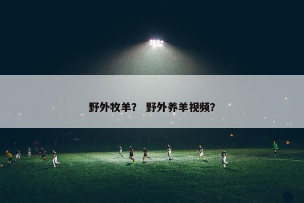野外牧羊？ 野外养羊视频？