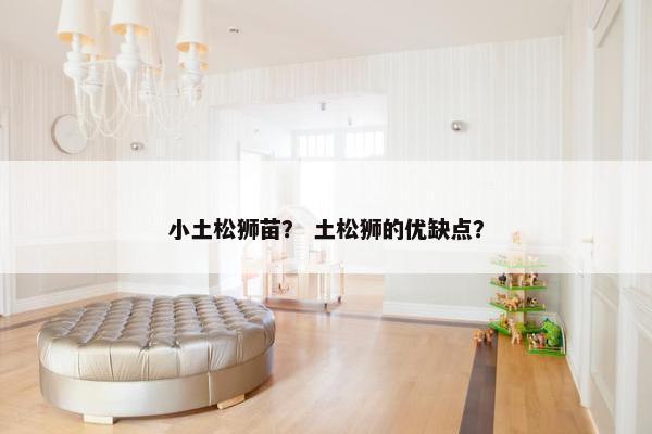 小土松狮苗？ 土松狮的优缺点？