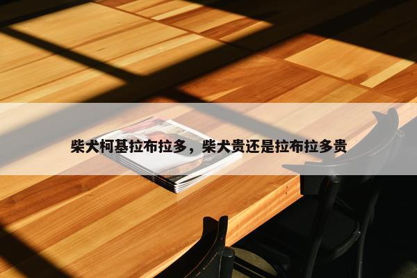 柴犬柯基拉布拉多，柴犬贵还是拉布拉多贵