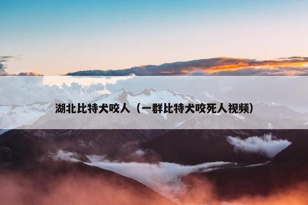 湖北比特犬咬人（一群比特犬咬死人视频）