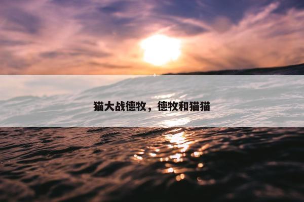 猫大战德牧，德牧和猫猫