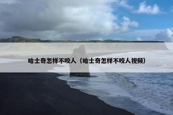 哈士奇怎样不咬人（哈士奇怎样不咬人视频）