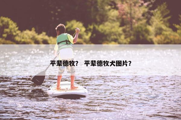 平辈德牧？ 平辈德牧犬图片？