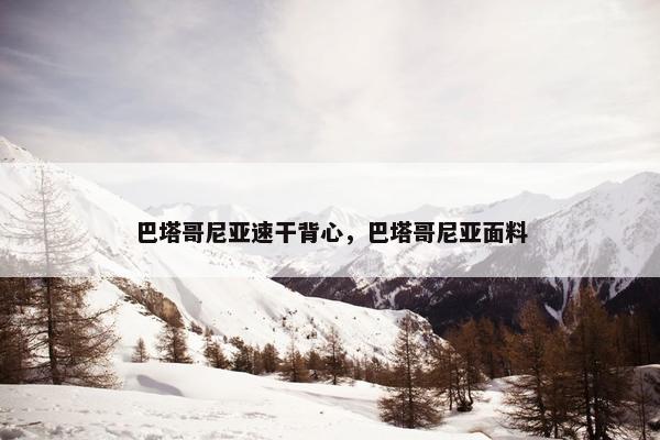 巴塔哥尼亚速干背心，巴塔哥尼亚面料