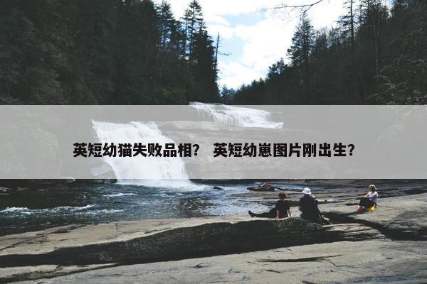 英短幼猫失败品相？ 英短幼崽图片刚出生？
