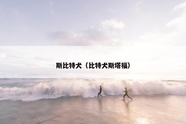 斯比特犬（比特犬斯塔福）