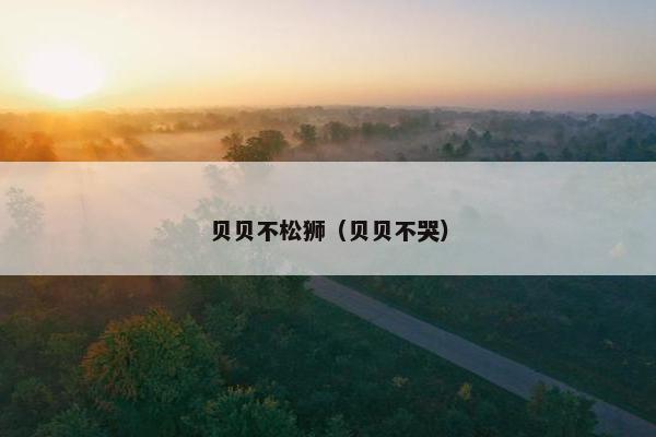 贝贝不松狮（贝贝不哭）