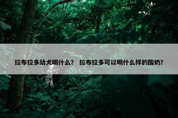 拉布拉多幼犬喝什么？ 拉布拉多可以喝什么样的酸奶？