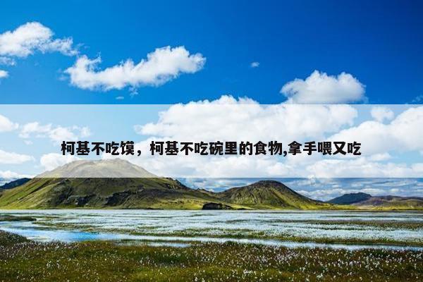柯基不吃馍，柯基不吃碗里的食物,拿手喂又吃