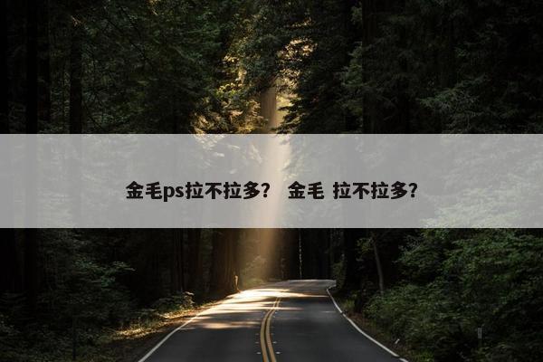 金毛ps拉不拉多？ 金毛 拉不拉多？