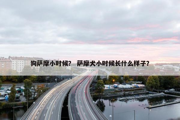狗萨摩小时候？ 萨摩犬小时候长什么样子？